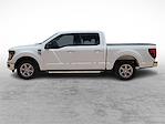 2024 Ford F-150 SuperCrew Cab 4x2 Pickup for sale #RKD42382 - photo 7