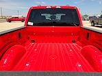 2025 Ford F-250 Crew Cab 4x4 Pickup for sale #SEC92129 - photo 15