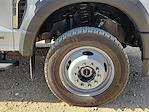 New 2025 Ford F-550 Crew Cab Cab Chassis for sale #SEC98111 - photo 14