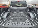 2025 Ford F-250 Crew Cab 4x4 Pickup for sale #SED00190 - photo 15
