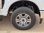 2025 Ford F-250 Crew Cab 4x4 Pickup for sale #SED01010 - photo 14