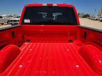 2025 Ford F-250 Crew Cab 4x4 Pickup for sale #SED04938 - photo 15