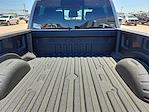 2025 Ford F-250 Crew Cab 4x4 Pickup for sale #SED14210 - photo 15
