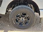 2025 Ford F-250 Crew Cab 4x4 Pickup for sale #SED14445 - photo 14