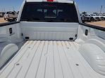 2025 Ford F-250 Crew Cab 4x4 Pickup for sale #SED26931 - photo 15