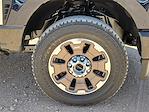 2025 Ford F-350 Crew Cab SRW 4x4 Pickup for sale #SED27318 - photo 14