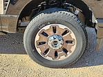 2025 Ford F-250 Crew Cab 4x4 Pickup for sale #SED27491 - photo 14