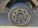 2025 Ford F-350 Crew Cab SRW 4x4 Pickup for sale #SED41417 - photo 14