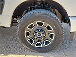 New 2025 Ford F-250 Platinum Crew Cab for sale #SED41815 - photo 14