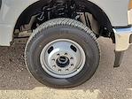 2025 Ford F-350 Crew Cab DRW 4x4 Pickup for sale #SED44785 - photo 14