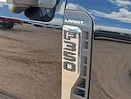 2025 Ford F-350 Crew Cab DRW 4x4 Pickup for sale #SED45414 - photo 13