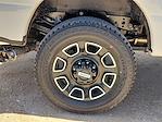 2025 Ford F-350 Crew Cab SRW 4x4 Pickup for sale #SED45634 - photo 14