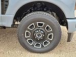2025 Ford F-350 Crew Cab SRW 4x4 Pickup for sale #SED50393 - photo 14