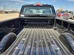 2025 Ford F-350 Crew Cab DRW 4x4 Pickup for sale #SED50759 - photo 15