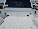 2025 Ford F-250 Crew Cab 4x4 Pickup for sale #SED51509 - photo 15