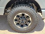 2025 Ford F-250 Crew Cab 4x4 Pickup for sale #SED52323 - photo 14