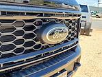 2025 Ford F-250 Crew Cab 4x4 Pickup for sale #SED53334 - photo 13