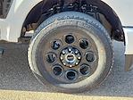 2025 Ford F-250 Crew Cab 4WD Pickup for sale #SED64326 - photo 14
