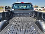 2025 Ford F-350 Crew Cab SRW 4x4 Pickup for sale #SED65404 - photo 15