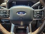 2025 Ford F-350 Crew Cab DRW 4x4 Pickup for sale #SED66383 - photo 24