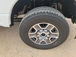 2025 Ford F-250 Crew Cab 4WD Pickup for sale #SED79367 - photo 13