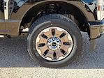2025 Ford F-350 Crew Cab SRW 4x4 Pickup for sale #SED81094 - photo 14