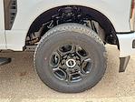 2025 Ford F-350 Crew Cab SRW 4x4 Pickup for sale #SED81957 - photo 14