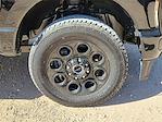 New 2025 Ford F-250 XLT Crew Cab for sale #SED90901 - photo 14