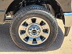 2025 Ford F-250 Crew Cab 4WD Pickup for sale #SED91214 - photo 14