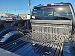 2025 Ford F-250 Crew Cab 4x4 Pickup for sale #SED93060 - photo 15