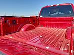 2025 Ford F-250 Crew Cab 4x4 Pickup for sale #SED96644 - photo 15