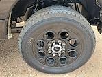 2025 Ford F-350 Crew Cab SRW 4WD Pickup for sale #SED97540 - photo 13