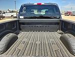 2025 Ford F-250 Crew Cab 4WD Pickup for sale #SED97756 - photo 15