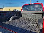 2025 Ford F-250 Crew Cab 4WD Pickup for sale #SED98776 - photo 15