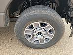 2025 Ford F-250 Crew Cab 4WD Pickup for sale #SED99894 - photo 13