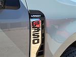 2025 Ford F-350 Crew Cab SRW 4WD Pickup for sale #SEE03289 - photo 13