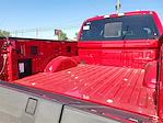 2025 Ford F-150 SuperCrew Cab 4WD Pickup for sale #SFA75503 - photo 15