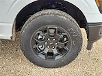 2025 Ford F-150 SuperCrew Cab 4x4 Pickup for sale #SFB26125 - photo 14