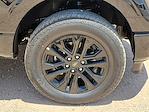 2025 Ford F-150 SuperCrew Cab 4WD Pickup for sale #SFB41456 - photo 14