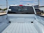 2025 Ford F-150 SuperCrew Cab 4x4 Pickup for sale #SFB64920 - photo 15