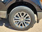 2025 Ford F-150 SuperCrew Cab 4WD Pickup for sale #SFB78486 - photo 14