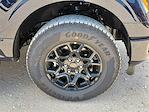 2025 Ford F-150 SuperCrew Cab 4x4 Pickup for sale #SFB84161 - photo 14
