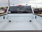 2025 Ford F-150 SuperCrew Cab 4WD Pickup for sale #SFC06035 - photo 15