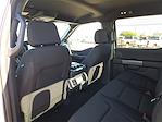 2025 Ford F-150 SuperCrew Cab 4WD Pickup for sale #SFC12439 - photo 16