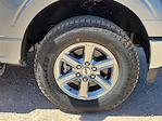 2025 Ford F-150 SuperCrew Cab 4x4 Pickup for sale #SKD66813 - photo 14