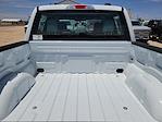 2025 Ford F-150 SuperCrew Cab 4x4 Pickup for sale #SKE18876 - photo 15