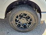 2025 Ford F-150 SuperCrew Cab 4x4 Pickup for sale #SKE38965 - photo 14