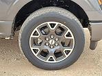 2025 Ford F-150 SuperCrew Cab 4x4 Pickup for sale #SKE46684 - photo 14
