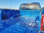 2025 Ford F-150 SuperCrew Cab 4x4 Pickup for sale #SKE60497 - photo 15