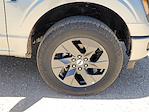 2025 Ford F-150 SuperCrew Cab 4x4 Pickup for sale #SKE60521 - photo 14